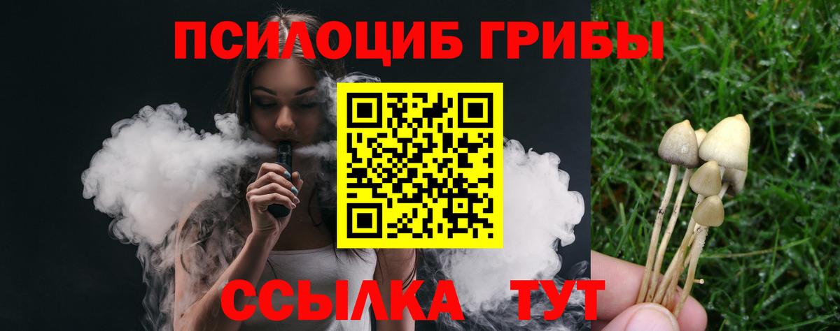 Псилоцибиновые грибы Magic Shrooms  Вход с VPN  Гусиноозёрск 